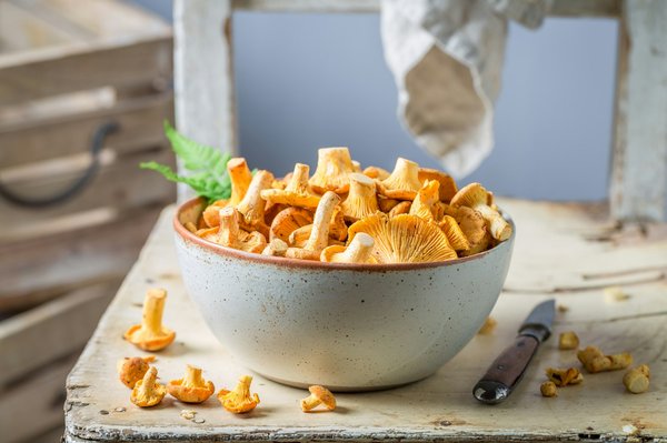 Les meilleures marques de lion's mane : guide complet pour choisir